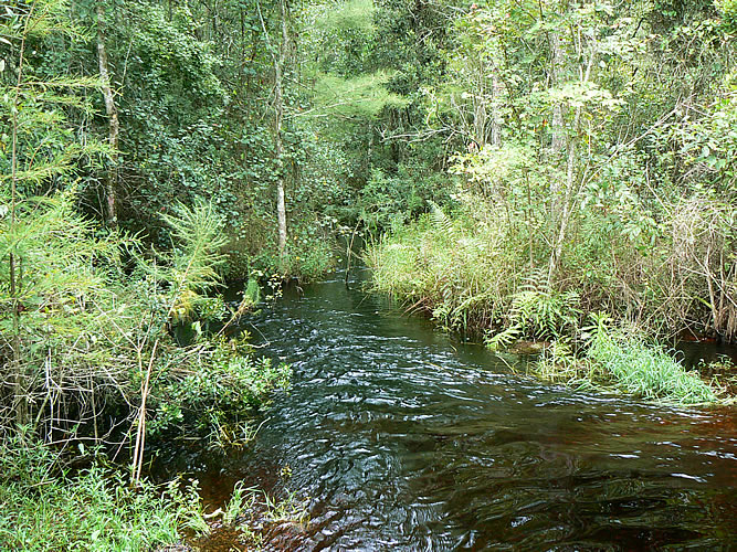 creek_near_Cheval