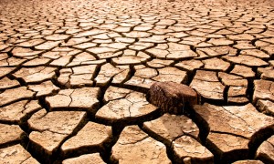 drought-dried-riverbed