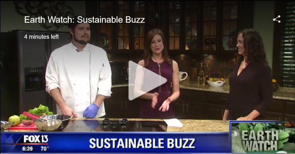  Cooking Demo for Sustainable Buzz